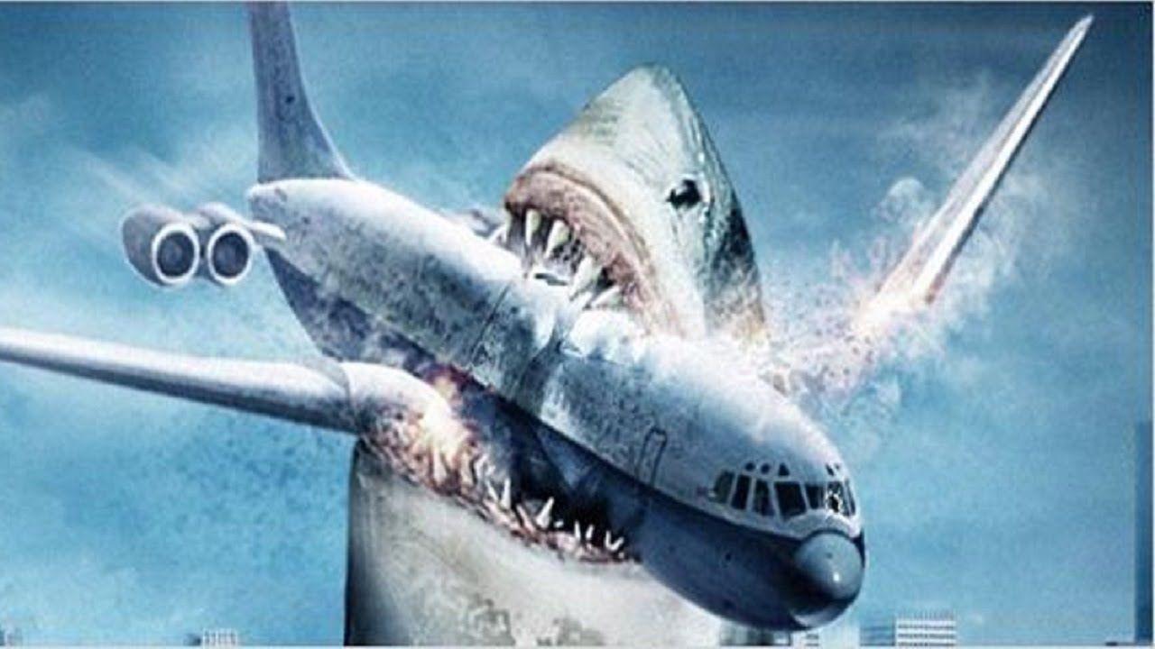 Giant shark attacks airplane