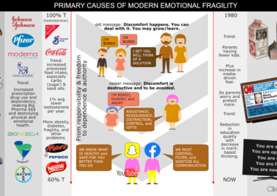 Primary Causes of Modern Emotional Fragility
