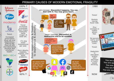 Primary Causes of Modern Emotional Fragility