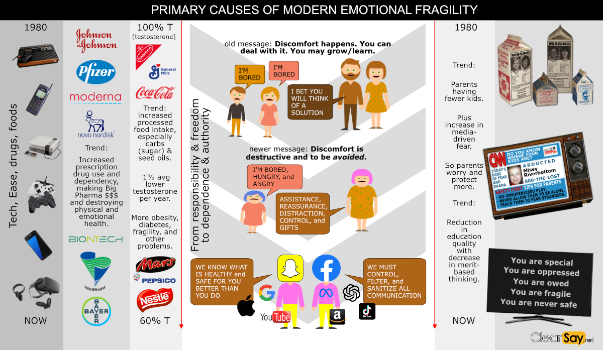 Primary causes of modern emotional fragility