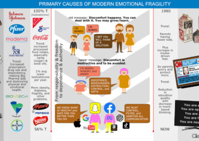 Primary Causes of Modern Emotional Fragility