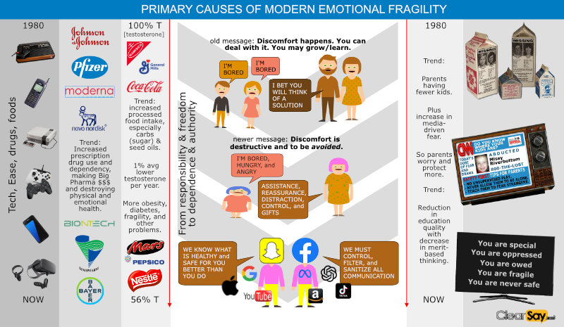 Primary Causes of Modern Emotional Fragility